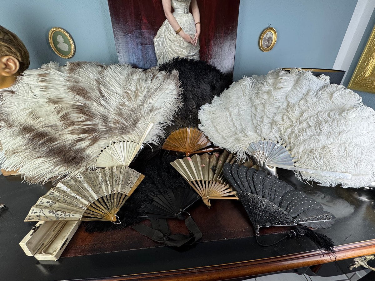 Set of Four Feather Fans and Three Antique Hand Fans – Late 19th to Early 20th Century