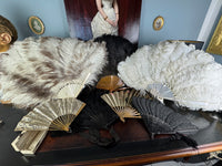 Set of Four Feather Fans and Three Antique Hand Fans – Late 19th to Early 20th Century