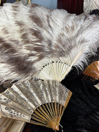 Set of Four Feather Fans and Three Antique Hand Fans – Late 19th to Early 20th Century