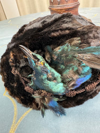 ROYAL Beaver Fur and Bird Hat, from the estate of Princess Clementine d'Orléans, Princess of Saxe-Coburg and Gotha-Koháry, ca. 1860