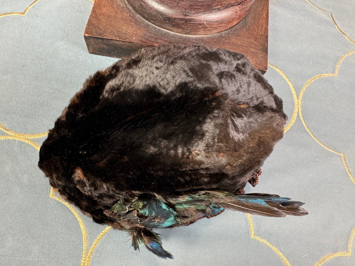 ROYAL Beaver Fur and Bird Hat, from the estate of Princess Clementine d'Orléans, Princess of Saxe-Coburg and Gotha-Koháry, ca. 1860