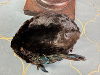 ROYAL Beaver Fur and Bird Hat, from the estate of Princess Clementine d'Orléans, Princess of Saxe-Coburg and Gotha-Koháry, ca. 1860