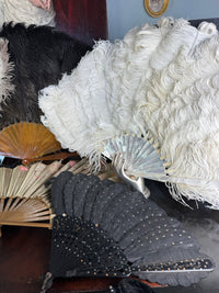 Set of Four Feather Fans and Three Antique Hand Fans – Late 19th to Early 20th Century