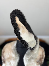 Goose Feather Collar Stole, Muff and Hat Appliqué, ca. 1890
