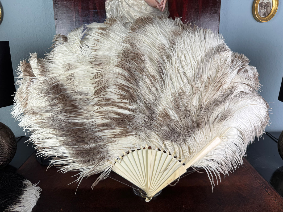Set of Four Feather Fans and Three Antique Hand Fans – Late 19th to Early 20th Century