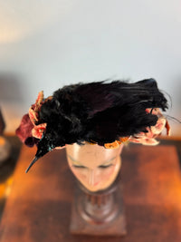 Antique Bird Hat, England, ca. 1904 – Edwardian Feather Trim Millinery