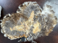 Antique Bird Skins – England, ca. 1908 – birds‑of‑paradise & little owls