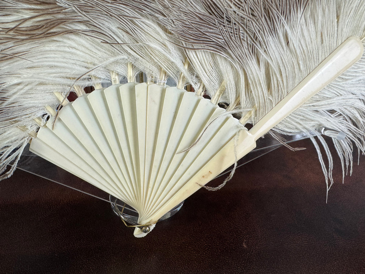Set of Four Feather Fans and Three Antique Hand Fans – Late 19th to Early 20th Century