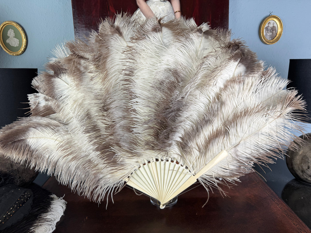 Set of Four Feather Fans and Three Antique Hand Fans – Late 19th to Early 20th Century