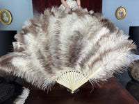 Set of Four Feather Fans and Three Antique Hand Fans – Late 19th to Early 20th Century
