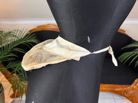 W & W Bustle Pad, Philadelphia, 1890s – Cotton and Steel Coil Victorian Undergarment