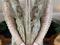 Antique Edwardian Evening Dress ca. 1908 – Painted Silk Panels & Crochet Lace Couture