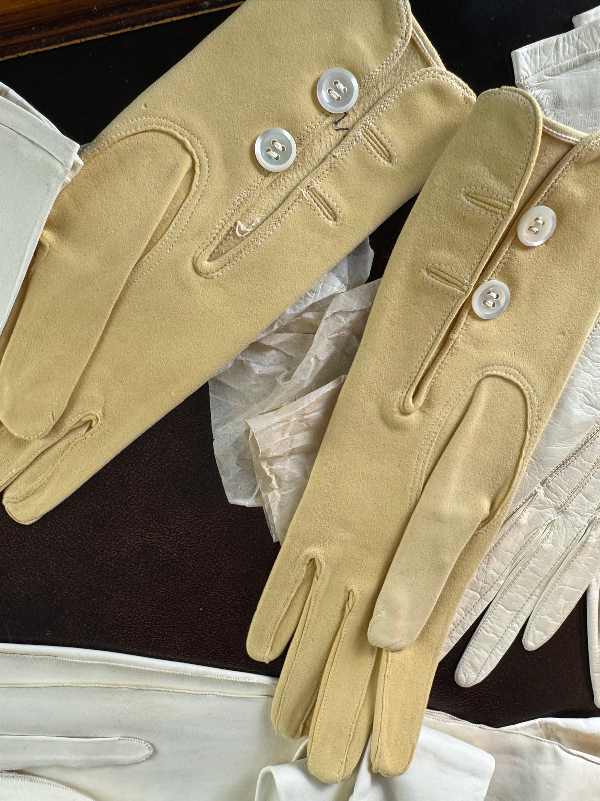 ROYAL Antique Wedding Glove Collection of Archduchess Maria Immakulata, Fr. Adam’s Sohn Vienna, 1900