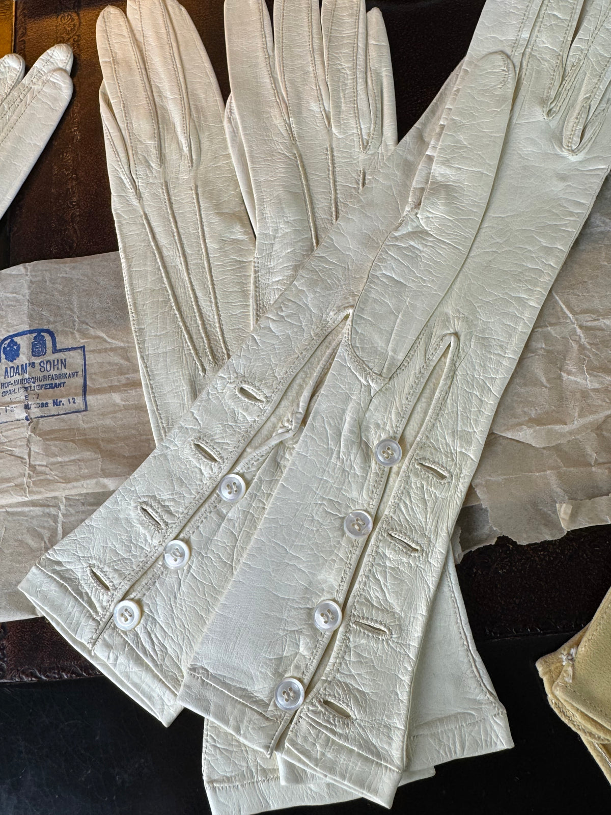 ROYAL Antique Wedding Glove Collection of Archduchess Maria Immakulata, Fr. Adam’s Sohn Vienna, 1900