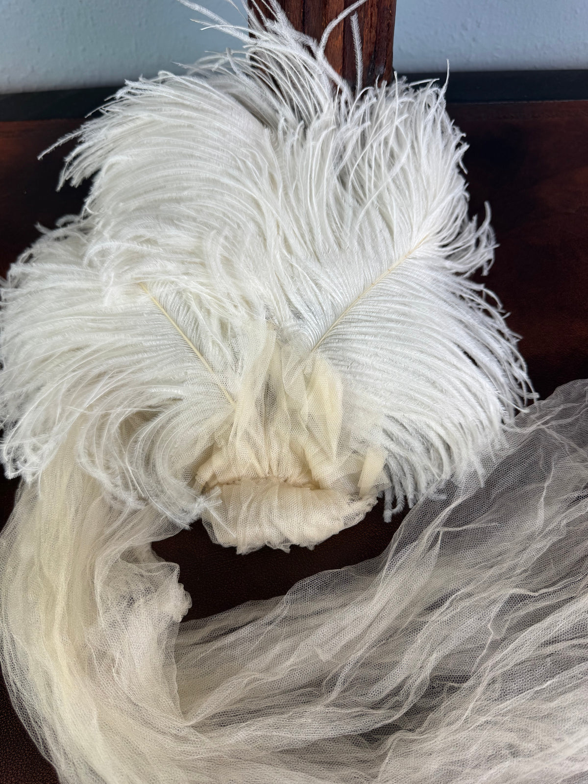 Victorian Ostrich Feather Court Headpiece, ca. 1890 – Debutante Hair Ornament