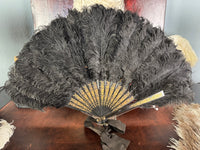 Set of Four Feather Fans and Three Antique Hand Fans – Late 19th to Early 20th Century