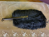 Ostrich Feather Fan, ca. 1900