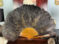 Set of Four Feather Fans and Three Antique Hand Fans – Late 19th to Early 20th Century