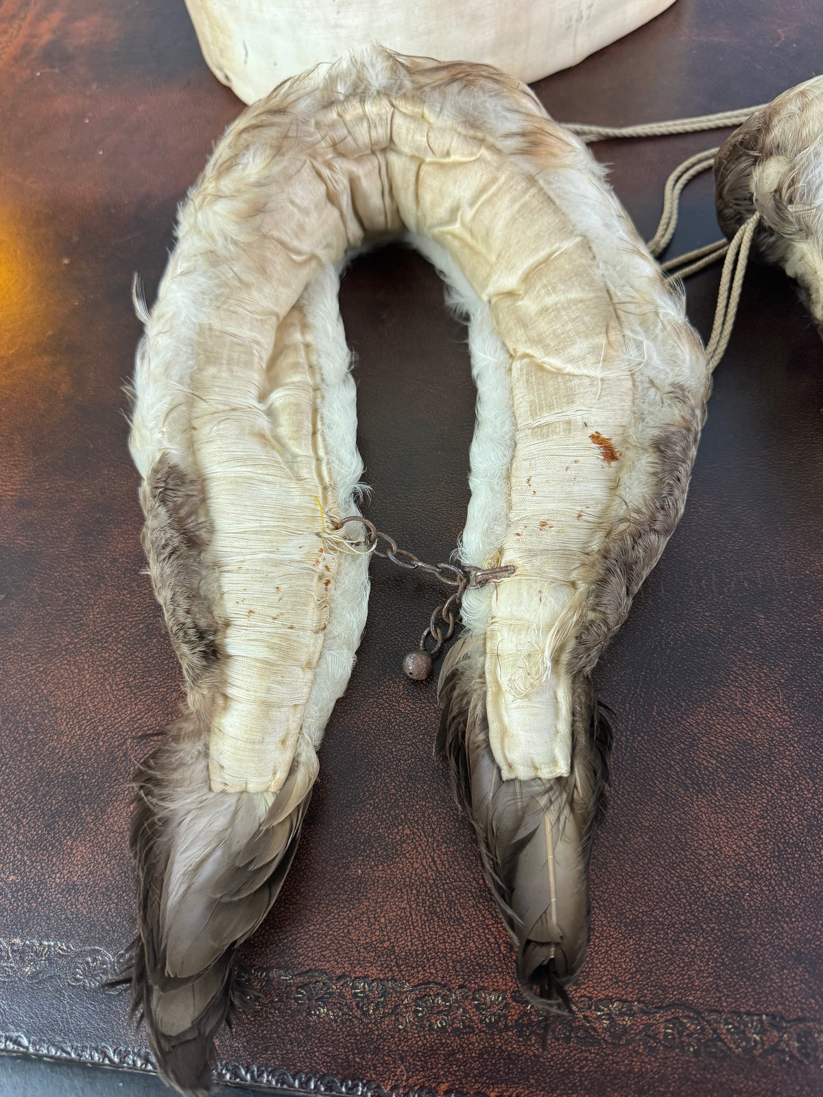 Antique Goose Feather Muff and Collar, England, ca. 1890 – Child’s Accessory