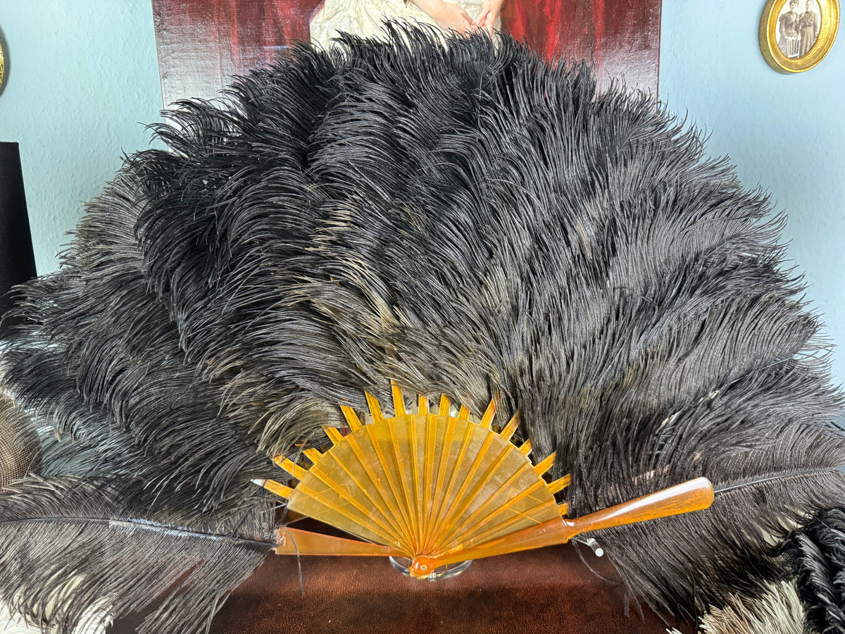 Set of Four Feather Fans and Three Antique Hand Fans – Late 19th to Early 20th Century