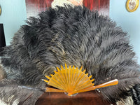 Set of Four Feather Fans and Three Antique Hand Fans – Late 19th to Early 20th Century