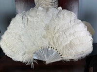 Set of Four Feather Fans and Three Antique Hand Fans – Late 19th to Early 20th Century