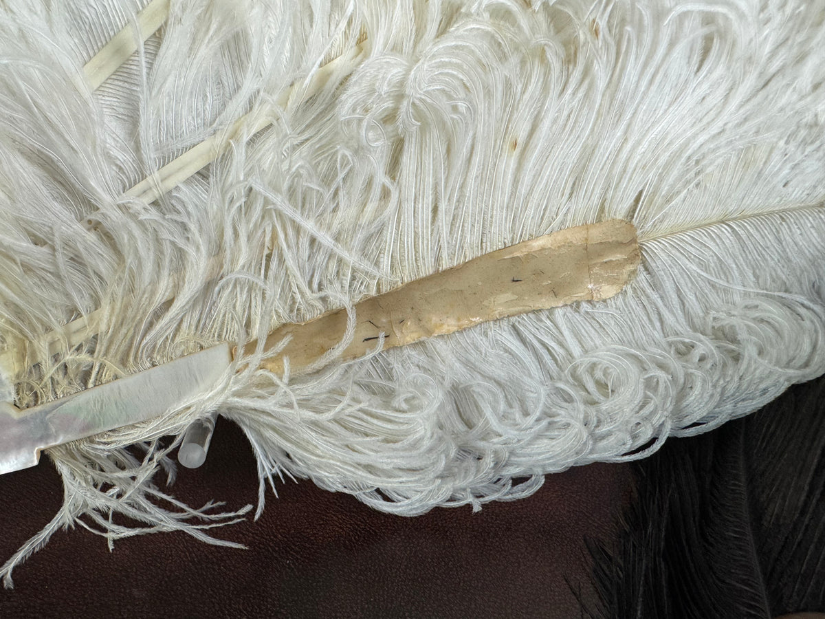 Set of Four Feather Fans and Three Antique Hand Fans – Late 19th to Early 20th Century