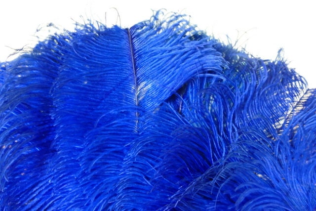 Blue Ostrich Feather Fan, 1910s