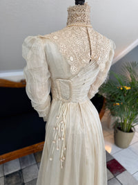 Antique Edwardian Festive Dress, ca. 1908