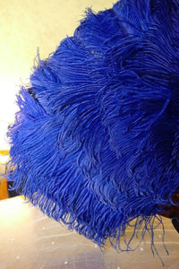 Blue Ostrich Feather Fan, 1910s