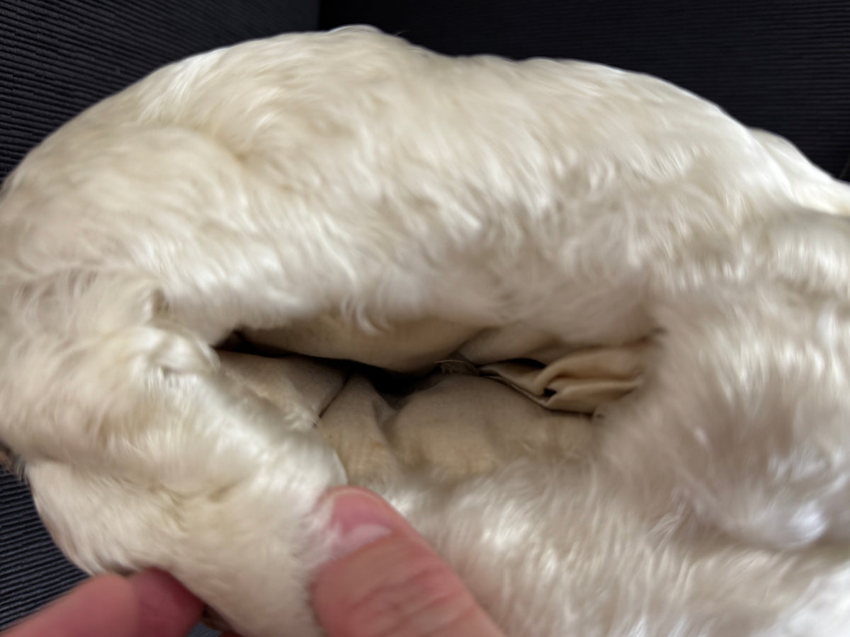 Goose Feather Collar Stole, Muff and Hat Appliqué, ca. 1890