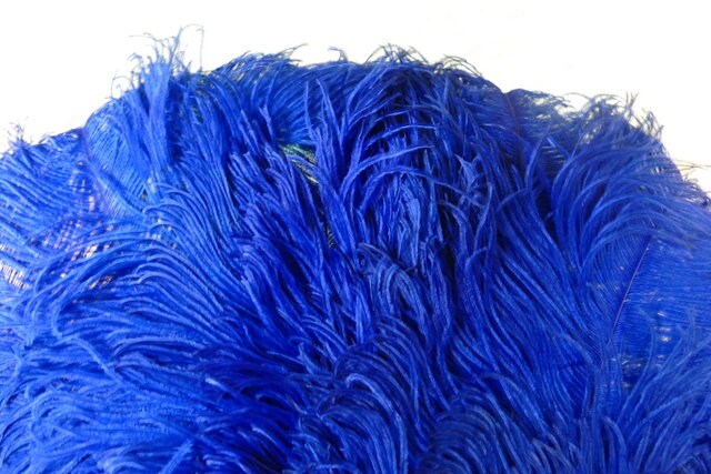 Blue Ostrich Feather Fan, 1910s