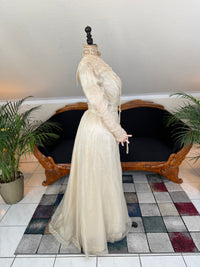 Antique Edwardian Festive Dress, ca. 1908