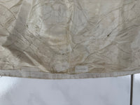 Robe rococo ivoire à la Française et jupon, ca. 1765