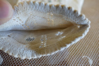 Gants Biedermeier anciens, datés de 1839