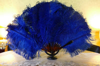 Blue Ostrich Feather Fan, 1910s