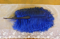Blue Ostrich Feather Fan, 1910s