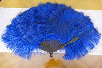 Blue Ostrich Feather Fan, 1910s
