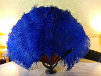 Blue Ostrich Feather Fan, 1910s