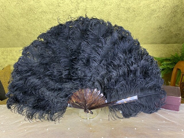 Ostrich Feather Fan, ca. 1900