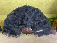 Ostrich Feather Fan, ca. 1900